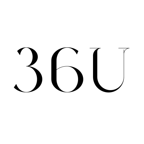 ארונות תקשורת 36U