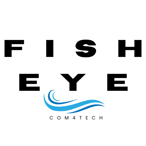 Panoramic Fisheye Network Camera